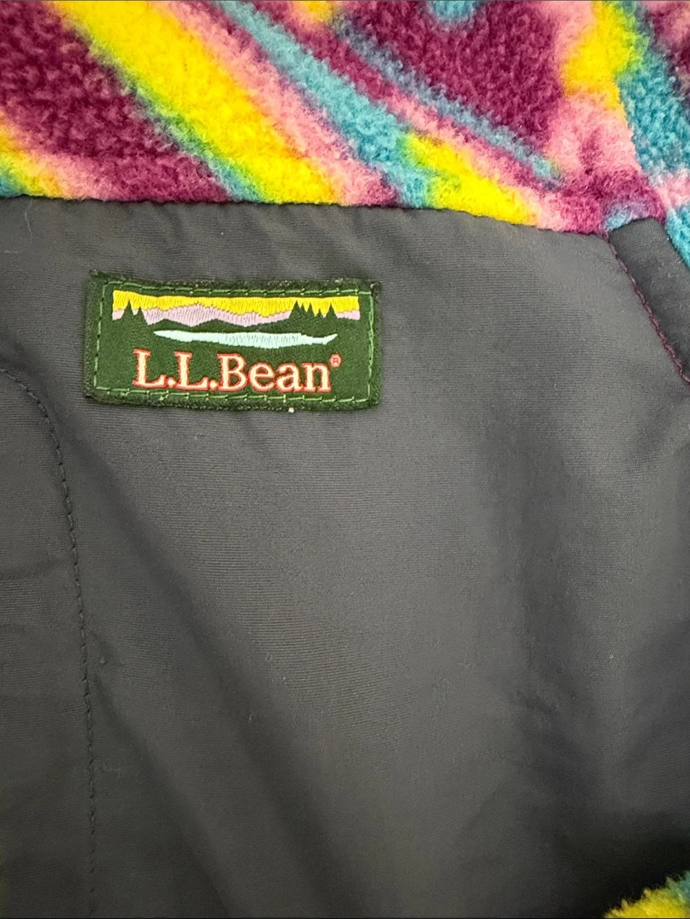 L.L. Bean Kids Multicolor Fleece Hoodie with Purple Trim